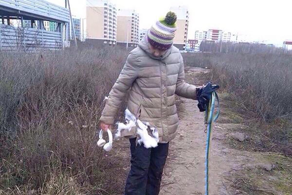 Бойцовские собаки покусали женщин под Киевом: владелицей может быть известная ведущая (фото 18+)