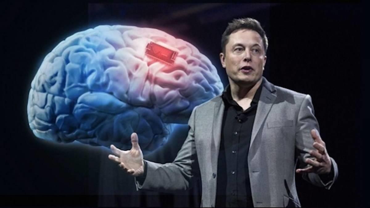 Ілон Маск: Інтерфейс Neuralink зможе замінювати цілі області головного мозку