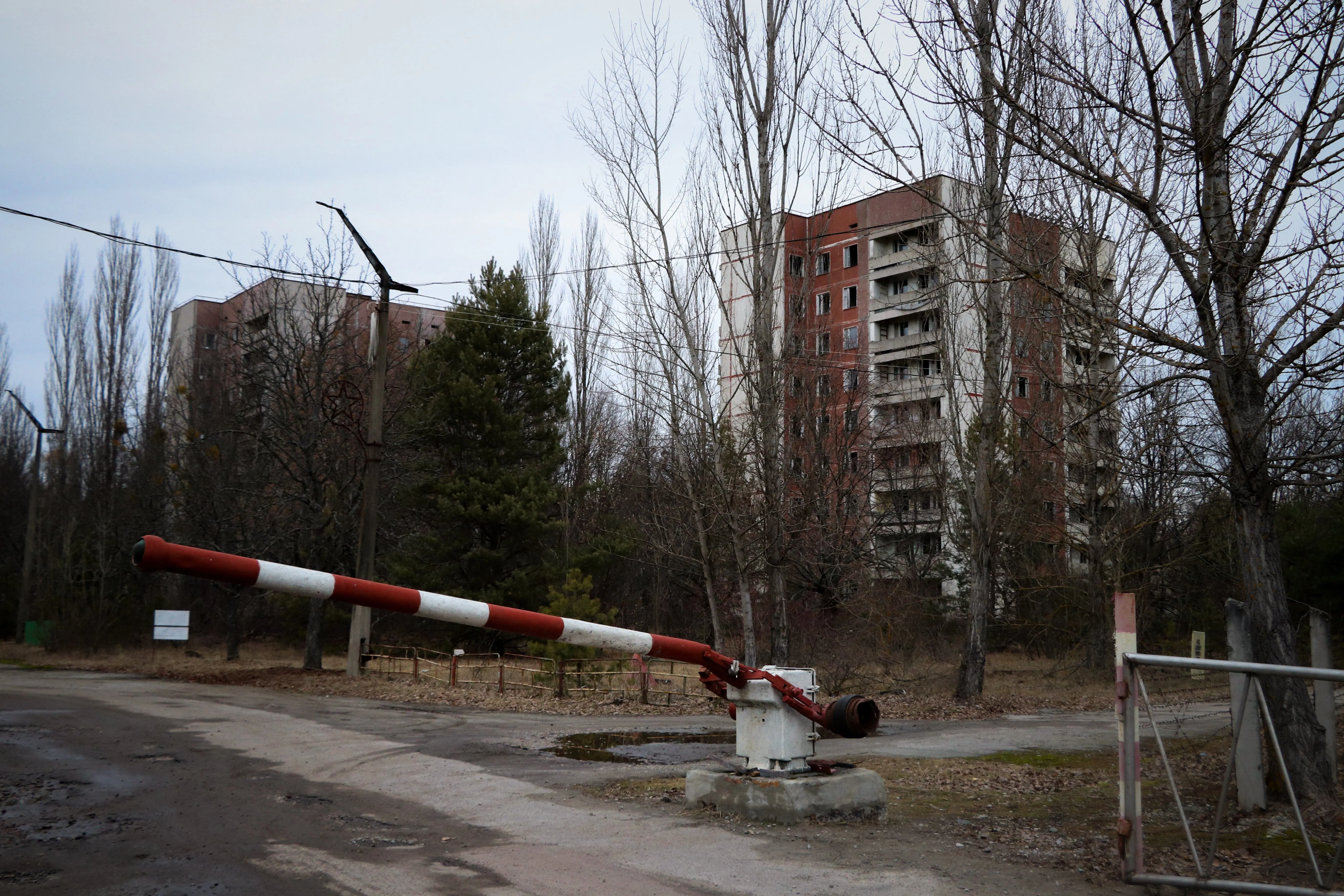Как сейчас выглядит припять. Припять оживает 2020. Город Чернобыль оживает. Въезд в Припять 2019. Как сейчас выглядит Чернобыль фото 2013.