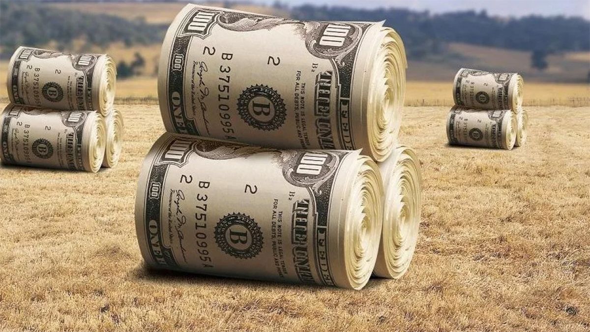 Рынок земли в Украине: как правильно открыть рынок земли в Украине Рынок земли в Украине: как правильно открыть рынок земли в Украине