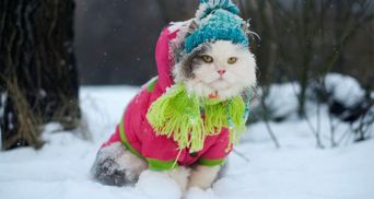 Прогноз погоди на 7 лютого: в Україні сніжитиме і буде морозяно