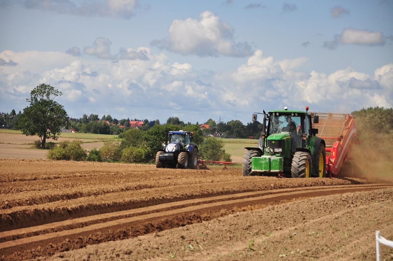 Обмеження продажу землі в одні руки: які наслідки для фермерів та агрохолдингів