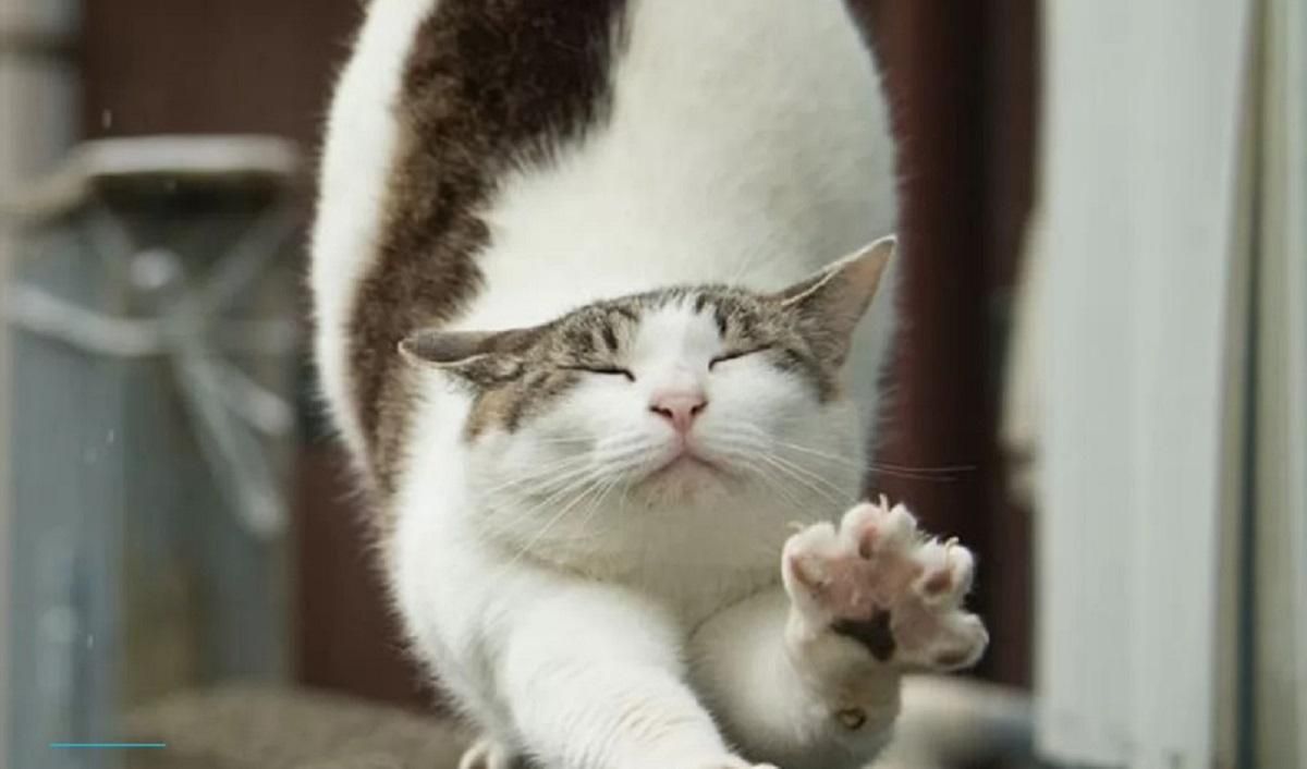 Погода 10 февраля 2020 Украина: какую погоду обещают синоптики Погода 10 февраля 2020 Украина: какую погоду обещают синоптики