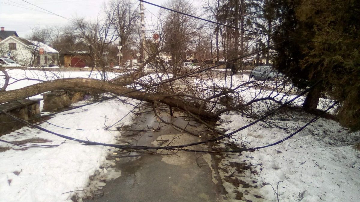 Потужні вітри на Прикарпатті повалили дерева і позривали дахи: фото і відео