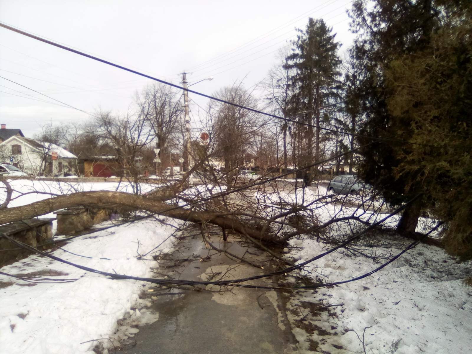 Негода наробила в Україні лиха: які області постраждали Негода наробила в Україні лиха: які області постраждали