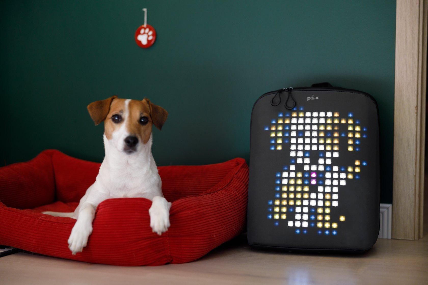 Українці розробили унікальний "розумний" рюкзак: фото, відео Українці розробили унікальний "розумний" рюкзак: фото, відео