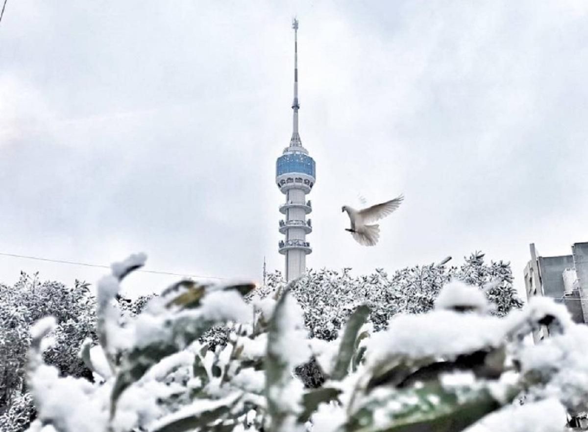 У Багдаді вперше за 12 років випав сніг: вражаючі фото та відео