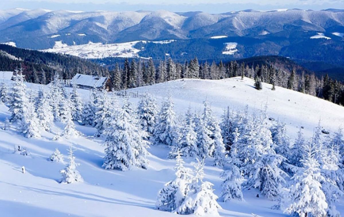 В Карпатах выпало больше метра снега: невероятные фото В Карпатах выпало больше метра снега: невероятные фото