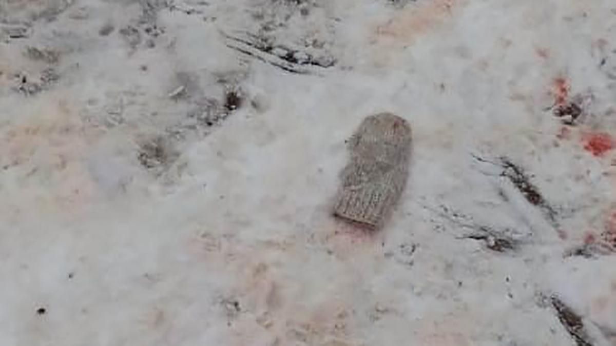 На Харківщині ротвейлер загриз 4-річну дитину: собаку приспали На Харківщині ротвейлер загриз 4-річну дитину: собаку приспали