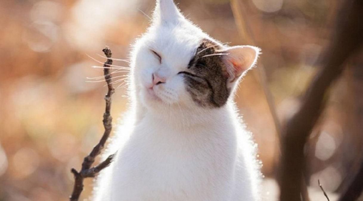 Погода 14 февраля 2020 в Украине – какую погоду обещает синоптик Погода 14 февраля 2020 в Украине – какую погоду обещает синоптик