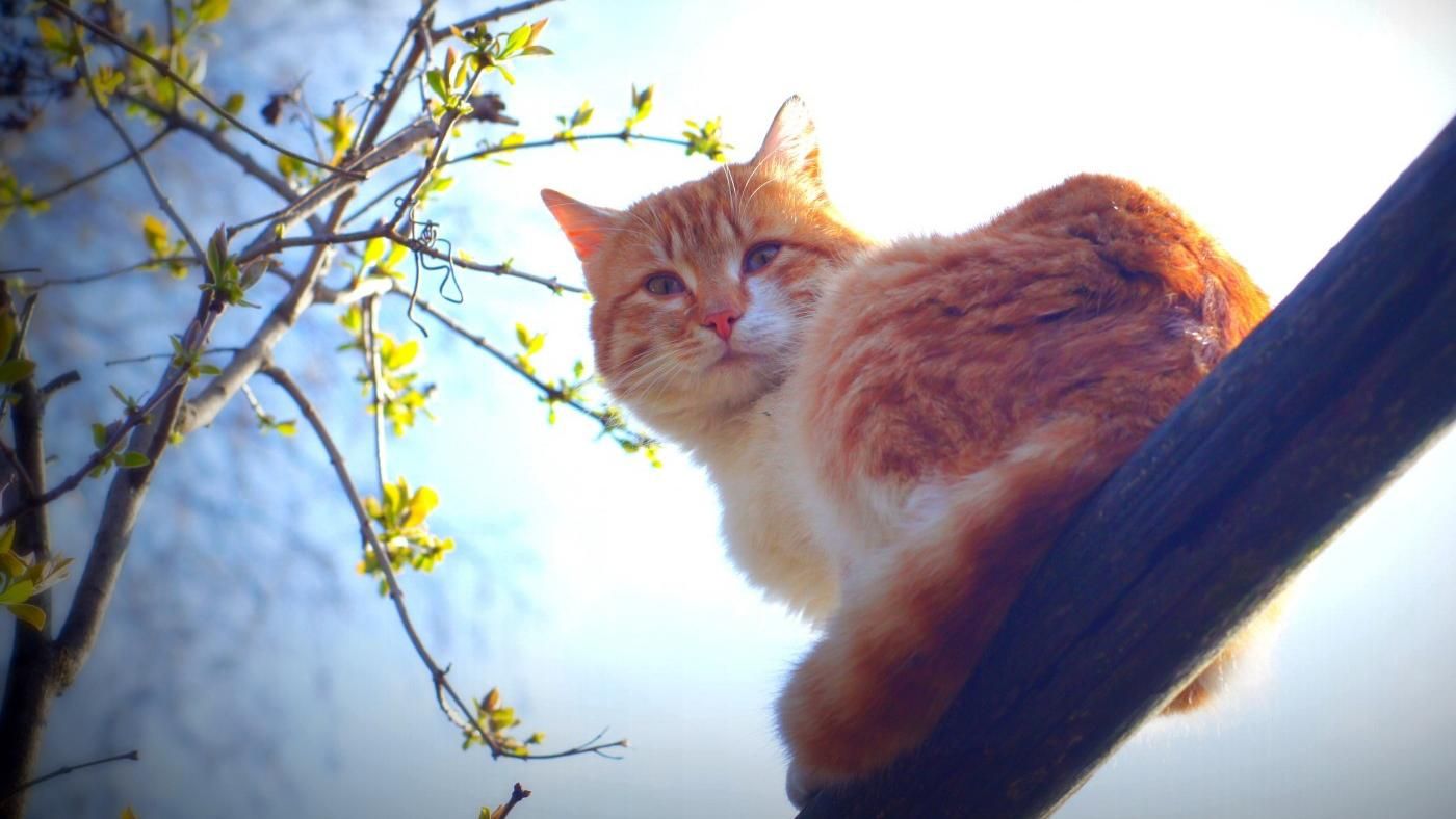 Погода 16 февраля 2020 в Украине – какую погоду обещает синоптик Погода 16 февраля 2020 в Украине – какую погоду обещает синоптик