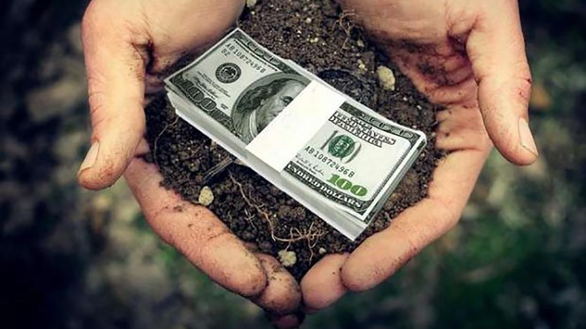 Ринок землі в Україні: як вплине на курс валют