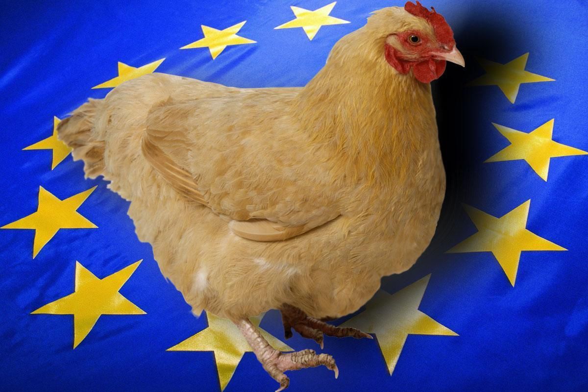 Євросоюз скасував заборону на імпорт курятини з України: що про це відомо