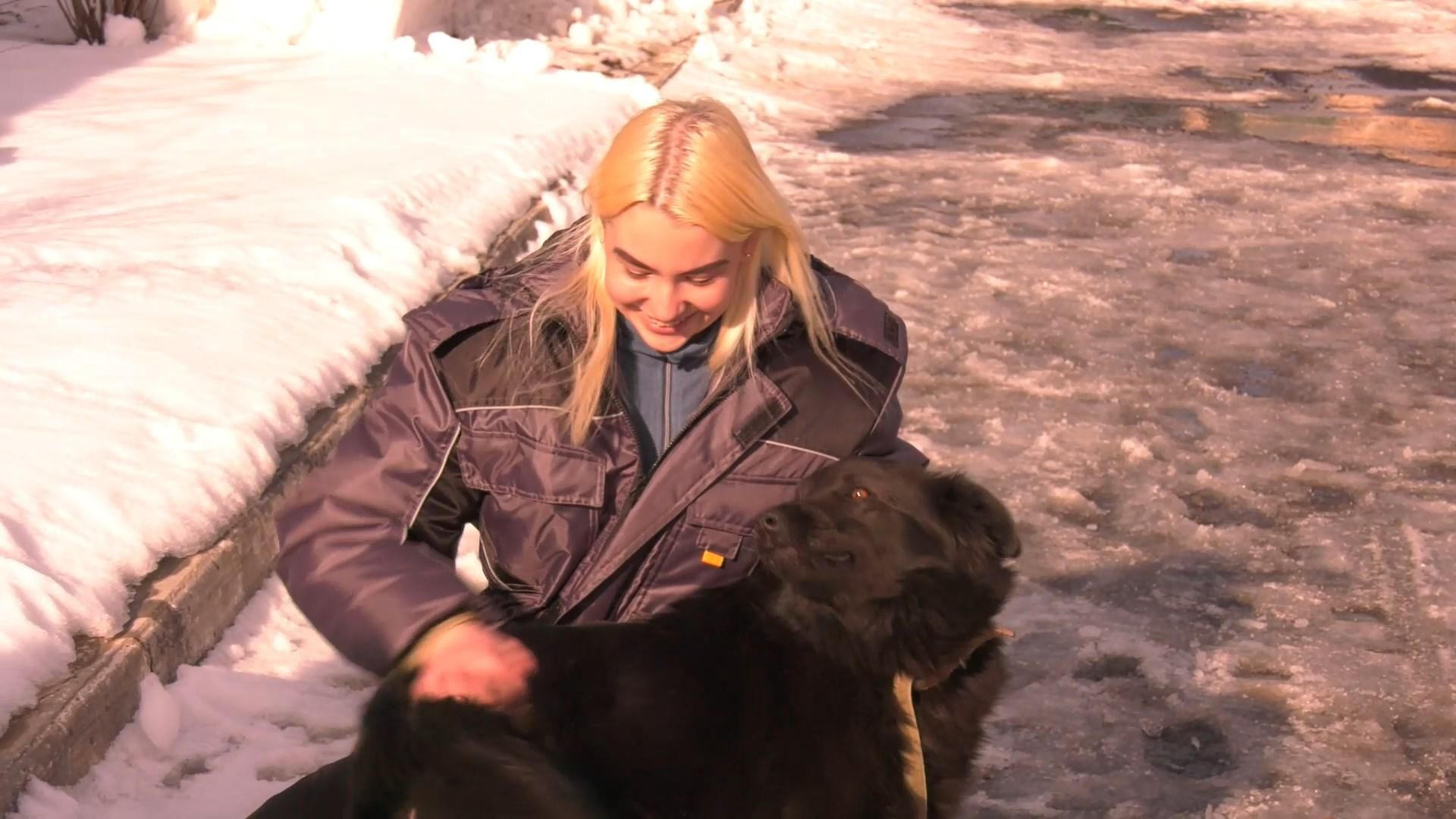 Обіймач тварин: що відомо про нову вакансію в притулку Обіймач тварин: що відомо про нову вакансію в притулку