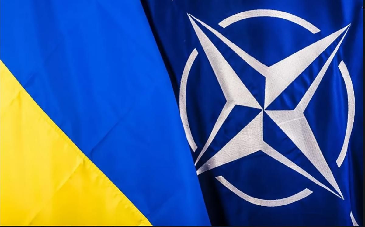 Бой на Донбассе 18 февраля - реакция НАТО Бой на Донбассе 18 февраля - реакция НАТО