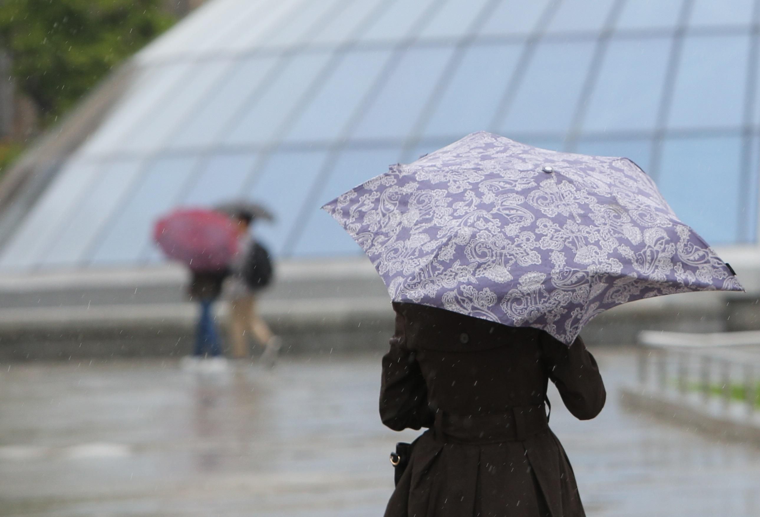 Весна у Києві розпочалась 10 лютого, – метеорологи Весна у Києві розпочалась 10 лютого, – метеорологи