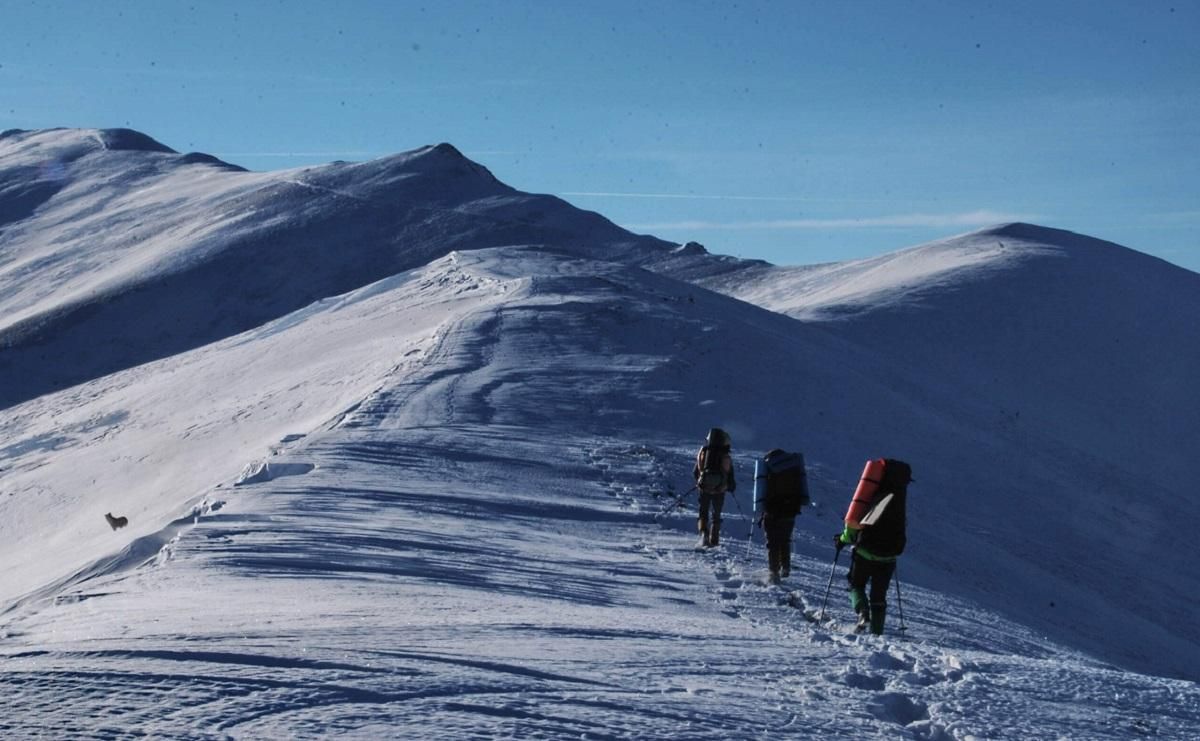 Спасатели запустили онлайн-регистрацию туристов, которые собираются идти в горы Спасатели запустили онлайн-регистрацию туристов, которые собираются идти в горы