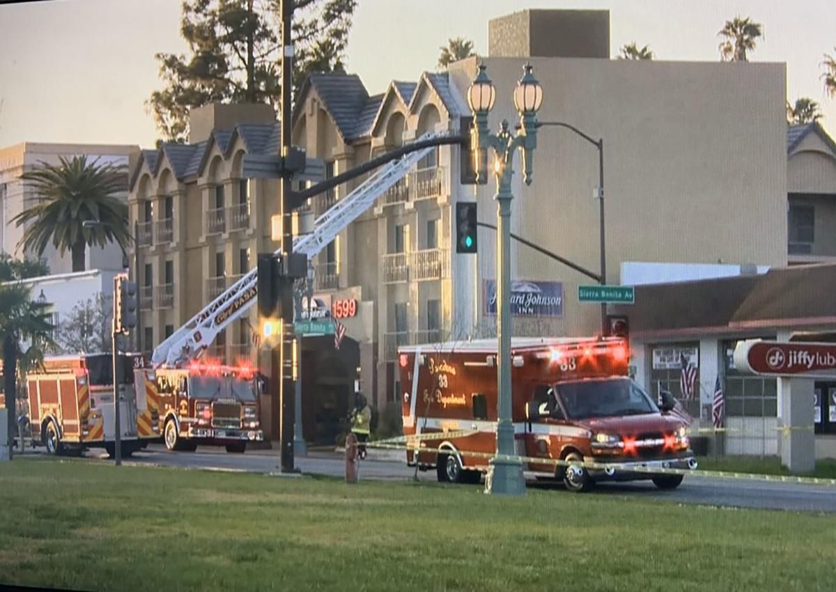 40 тысяч пчел заполонили американский город: спасатели устроили спецоперацию 40 тысяч пчел заполонили американский город: спасатели устроили спецоперацию