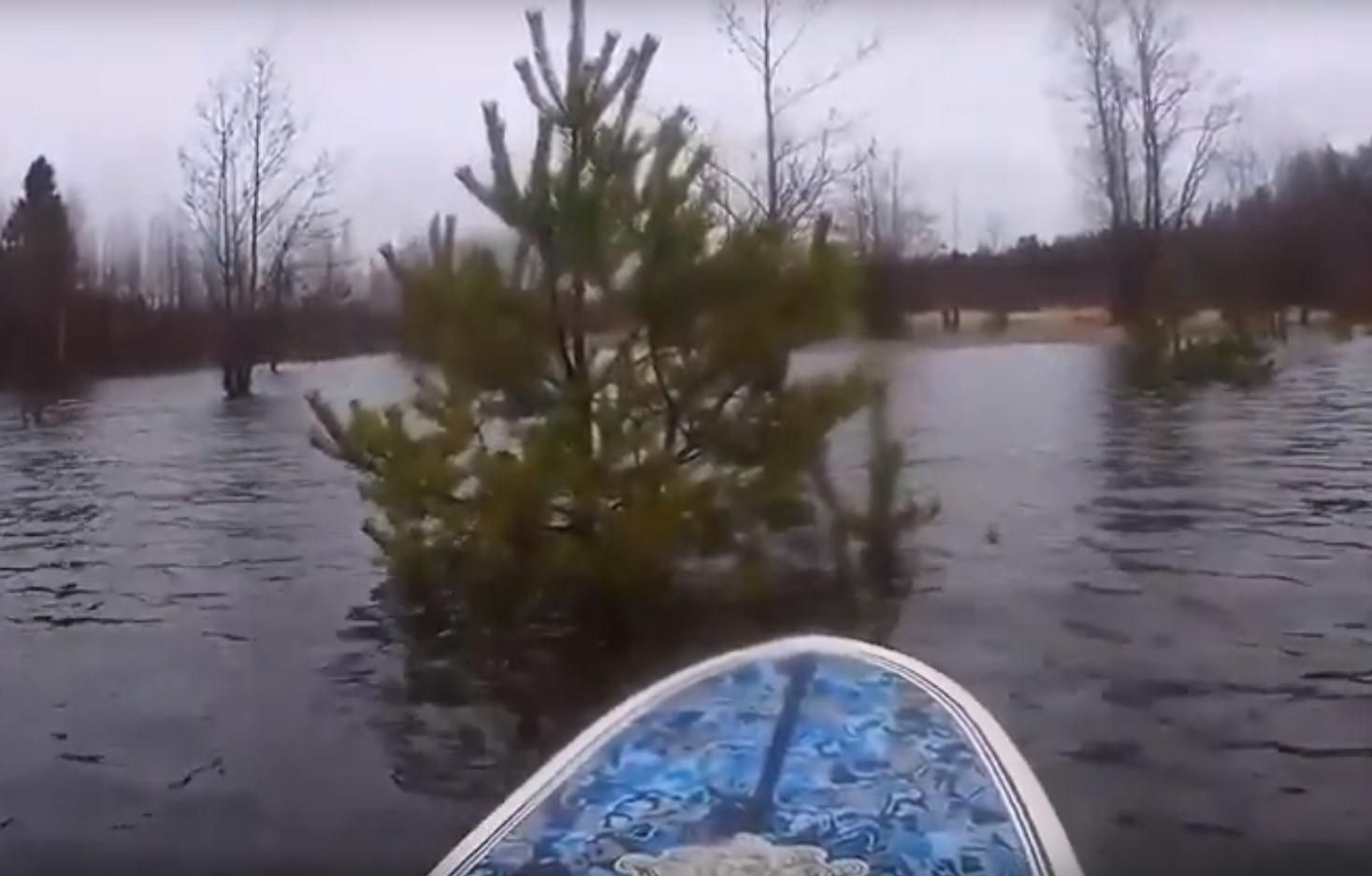 Серфер покатався затопленим лісом у Росії: вражаюче відео