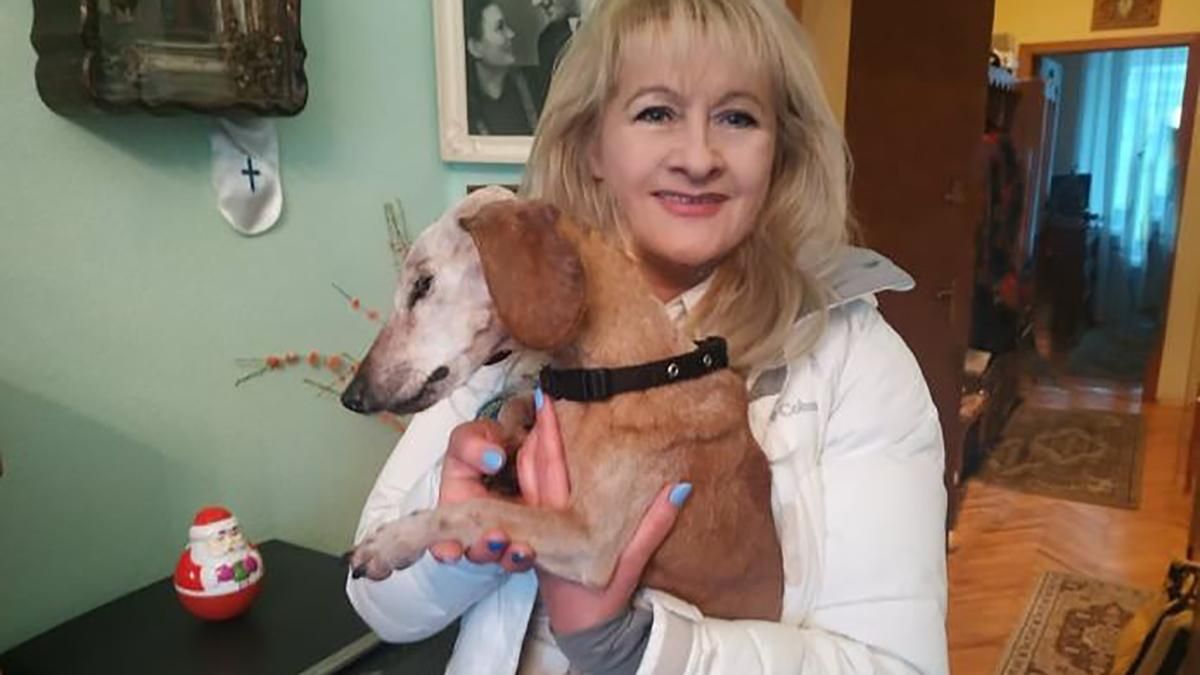 Умерла самая старая собака в Украине Нора
