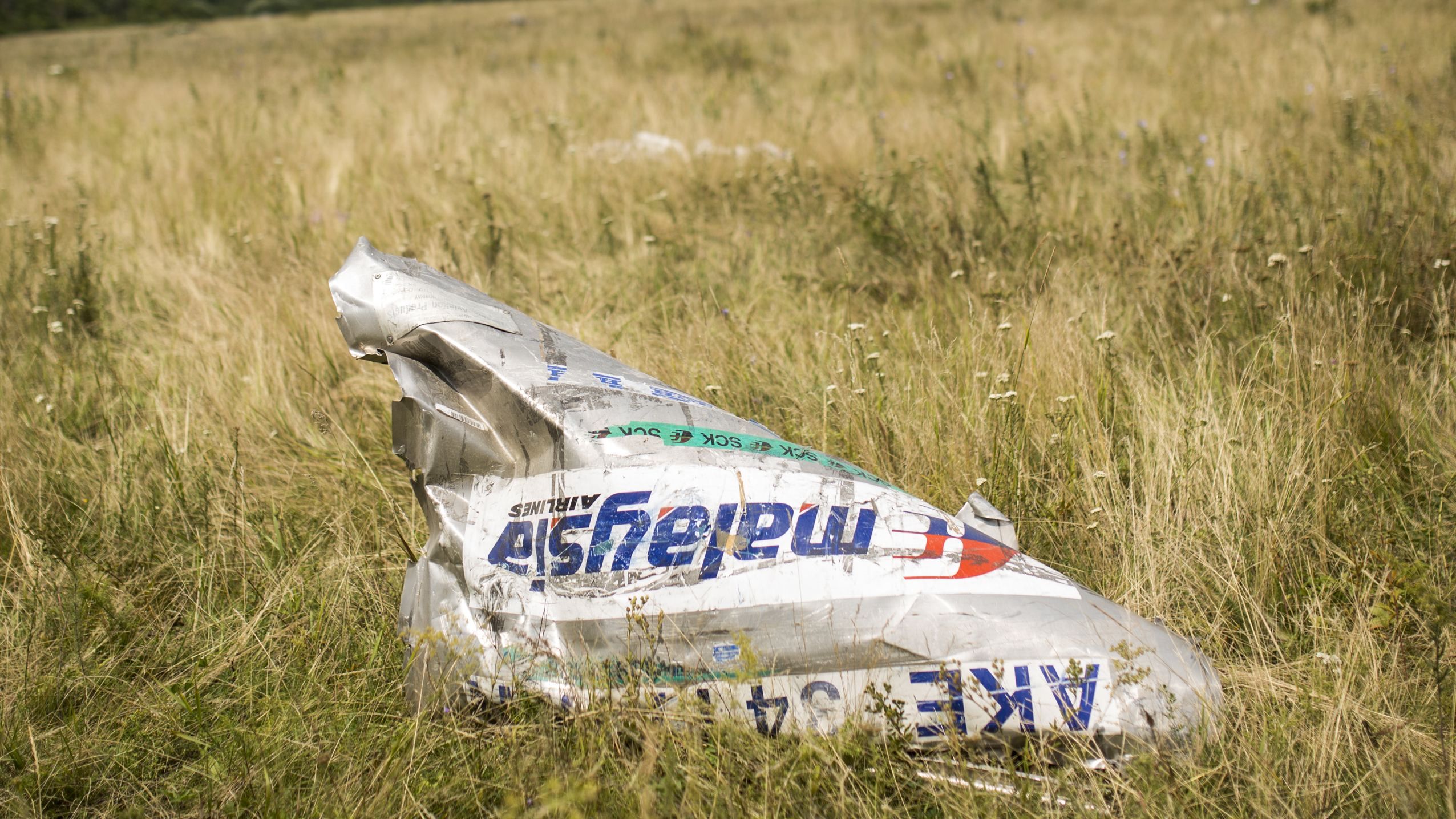 Катастрофа MH17 у небі над Донбасом: у міжнародного слідства є свідок запуску ракети Катастрофа MH17 у небі над Донбасом: у міжнародного слідства є свідок запуску ракети