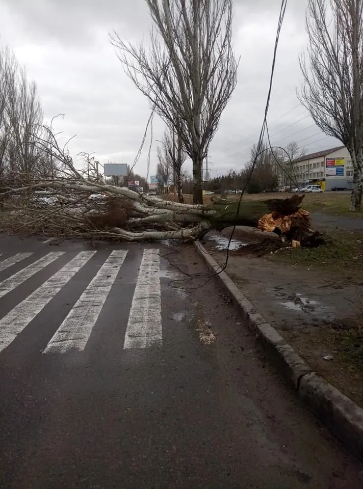 негода вітер шторм ураган херсон наслідки дерева