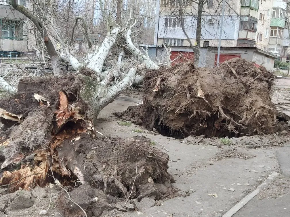 херсон негода погода вітер ураган дерева