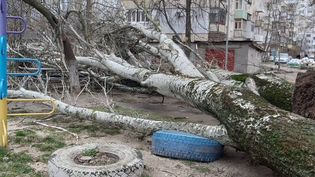Ураган в Херсоне 24.02.2020: на ребенка упало дерево