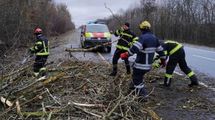 Одна загибла та 4 травмованих: що відомо про наслідки негоди в Україні Одна загибла та 4 травмованих: що відомо про наслідки негоди в Україні