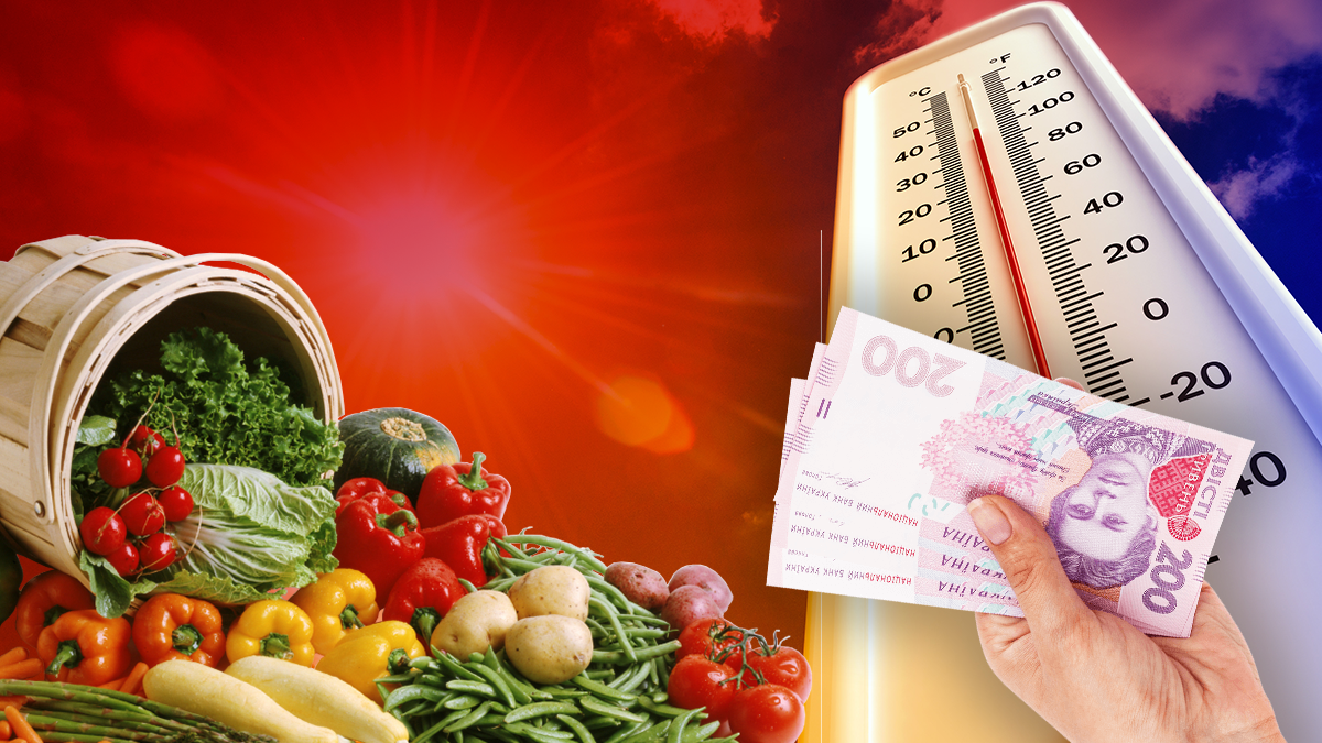 Как аномально теплая зима повлияет на стоимость продуктов