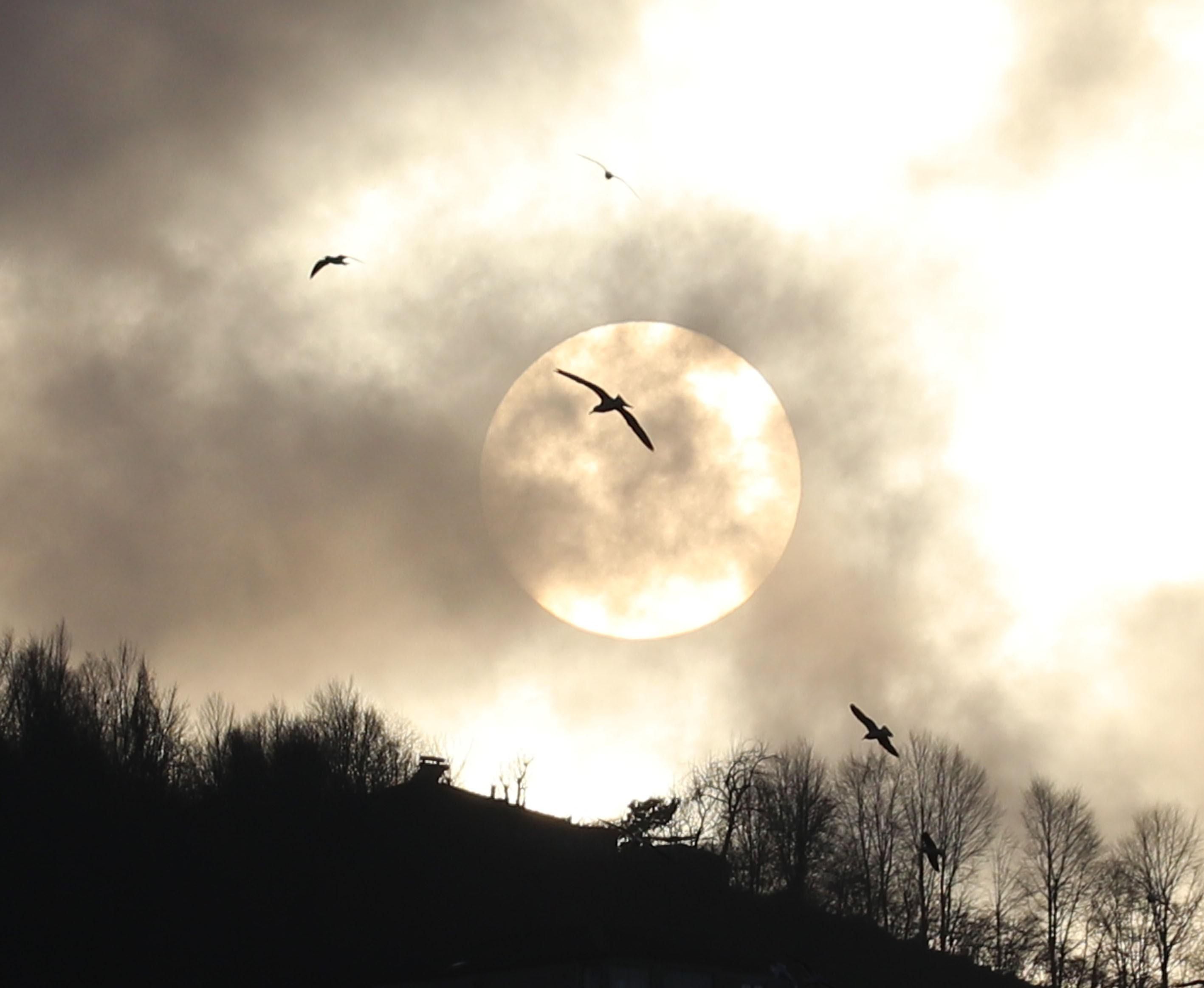 Когда полнолуние в марте 2020 – дата и время полнолуния Когда полнолуние в марте 2020 – дата и время полнолуния