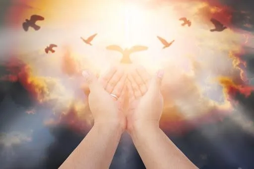 прощена неділя 2020 прощена неділя 2020