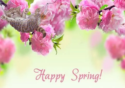 перший день весни перший день весни