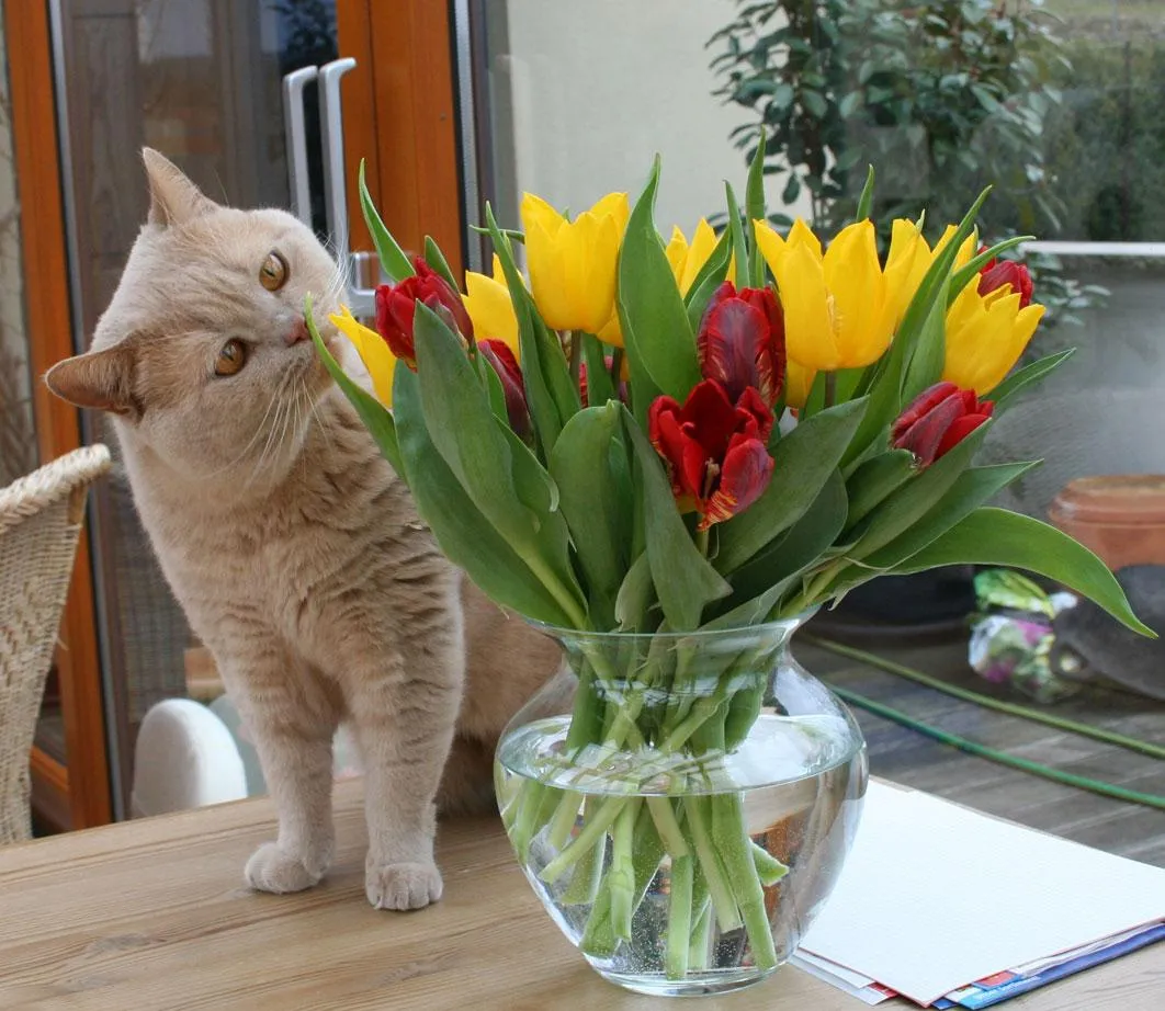 перший день весни перший день весни