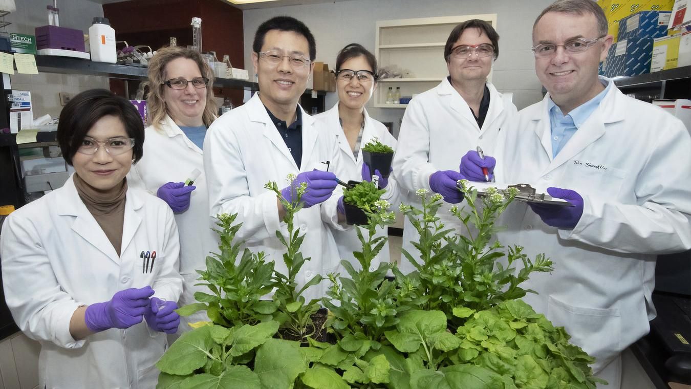 Міносвіти позбавило наукових ступенів трьох осіб – причина Міносвіти позбавило наукових ступенів трьох осіб – причина