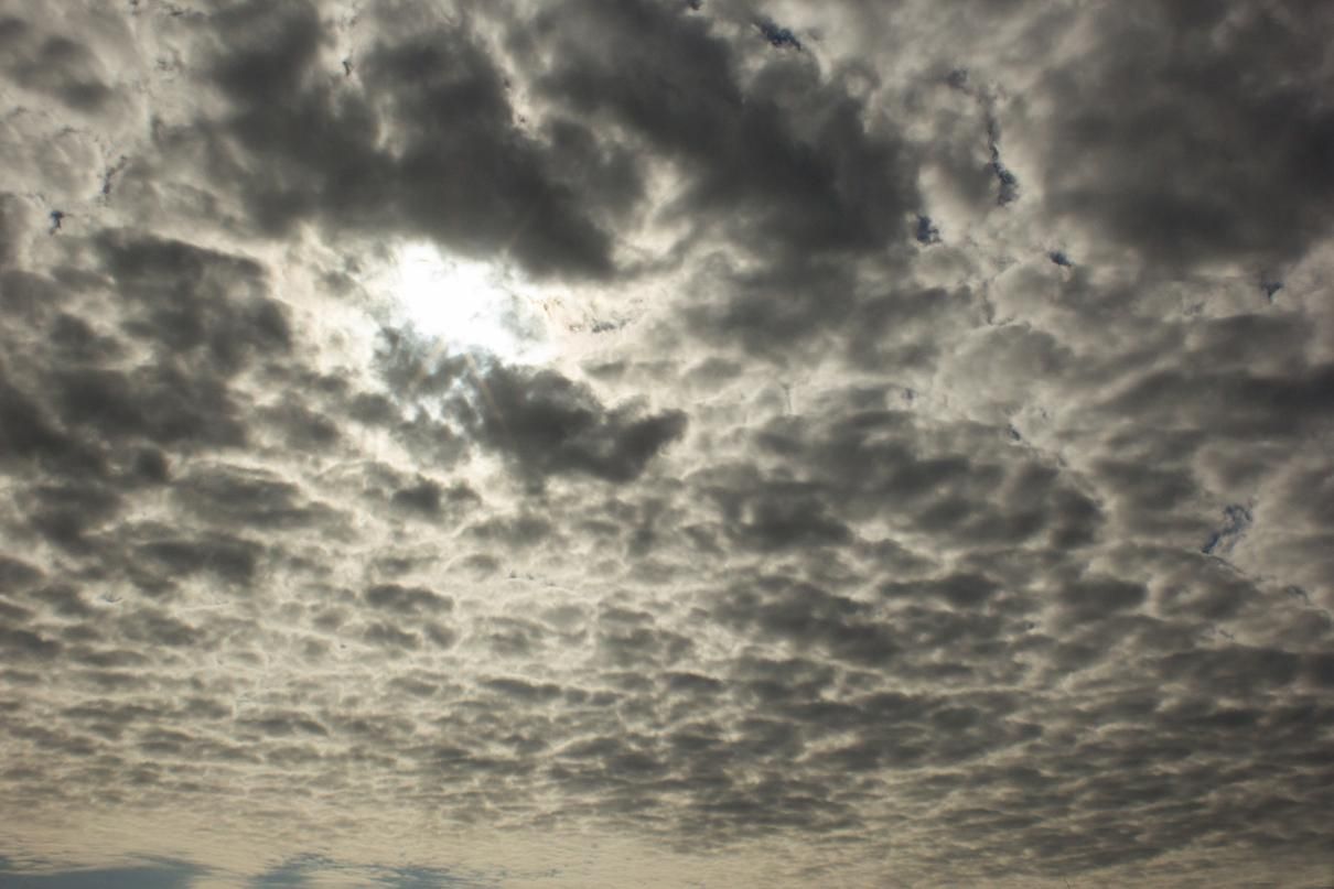 Погода 29 лютого 2020 Україна – що обіцяють синоптики Погода 29 лютого 2020 Україна – що обіцяють синоптики