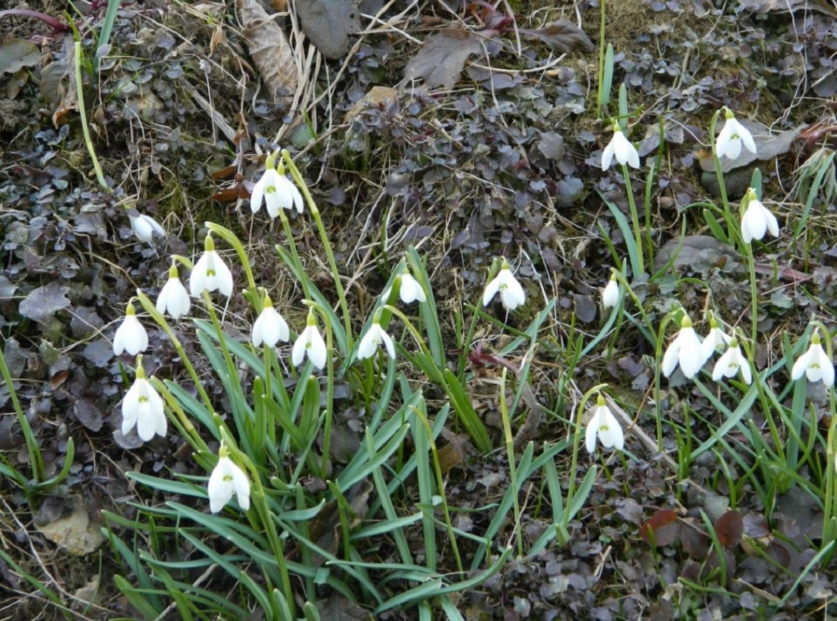 Погода 2 березня 2020 Україна – що обіцяють синоптики Погода 2 березня 2020 Україна – що обіцяють синоптики