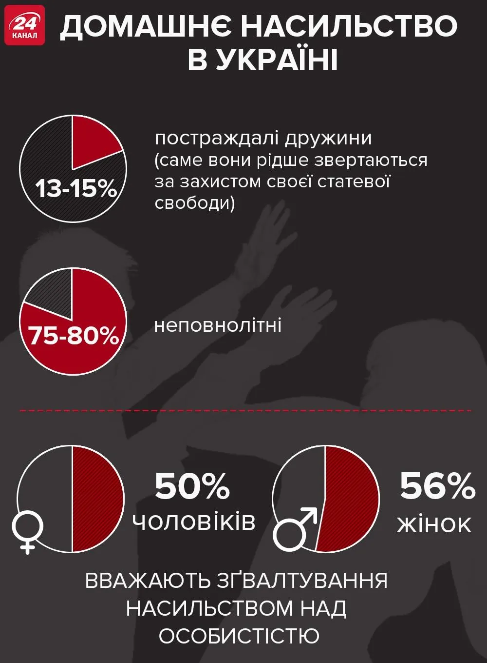 домашнє насильство в  україні