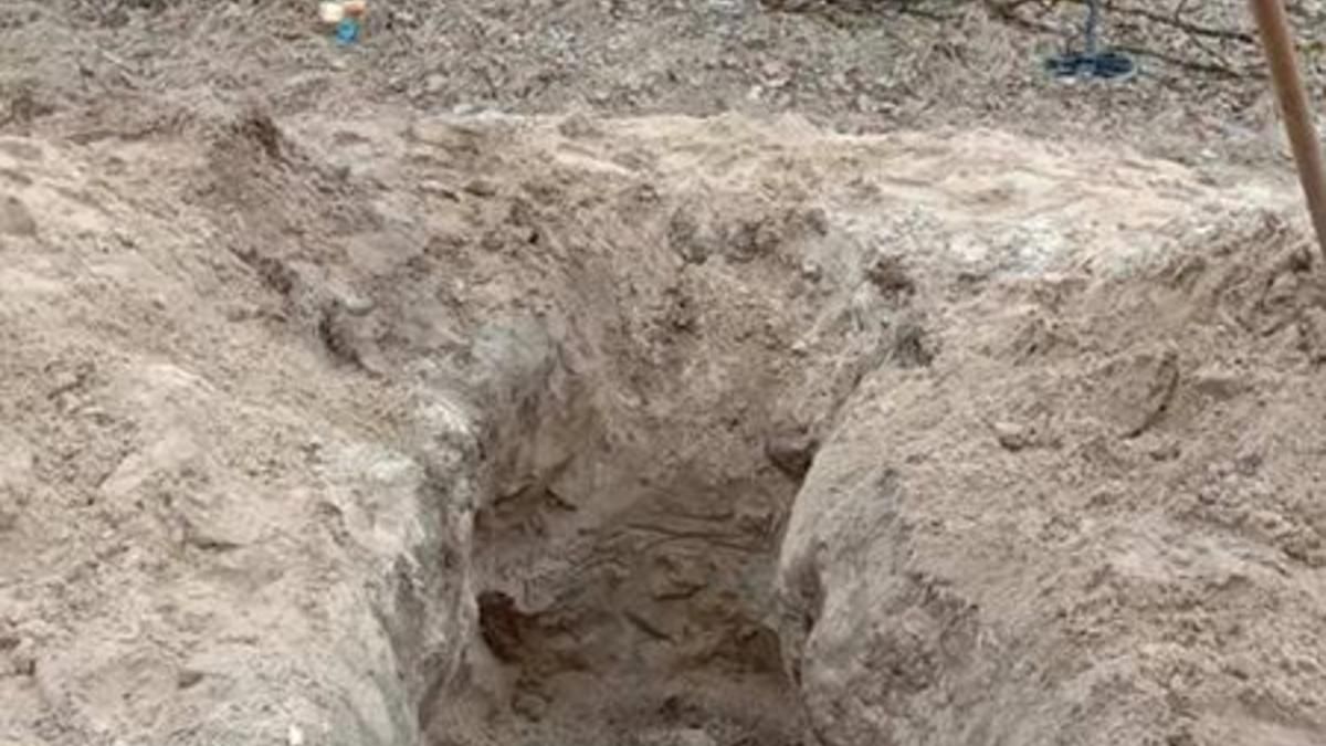 На Житомирщині замість монет знайшли рештки солдата Другої світової На Житомирщині замість монет знайшли рештки солдата Другої світової