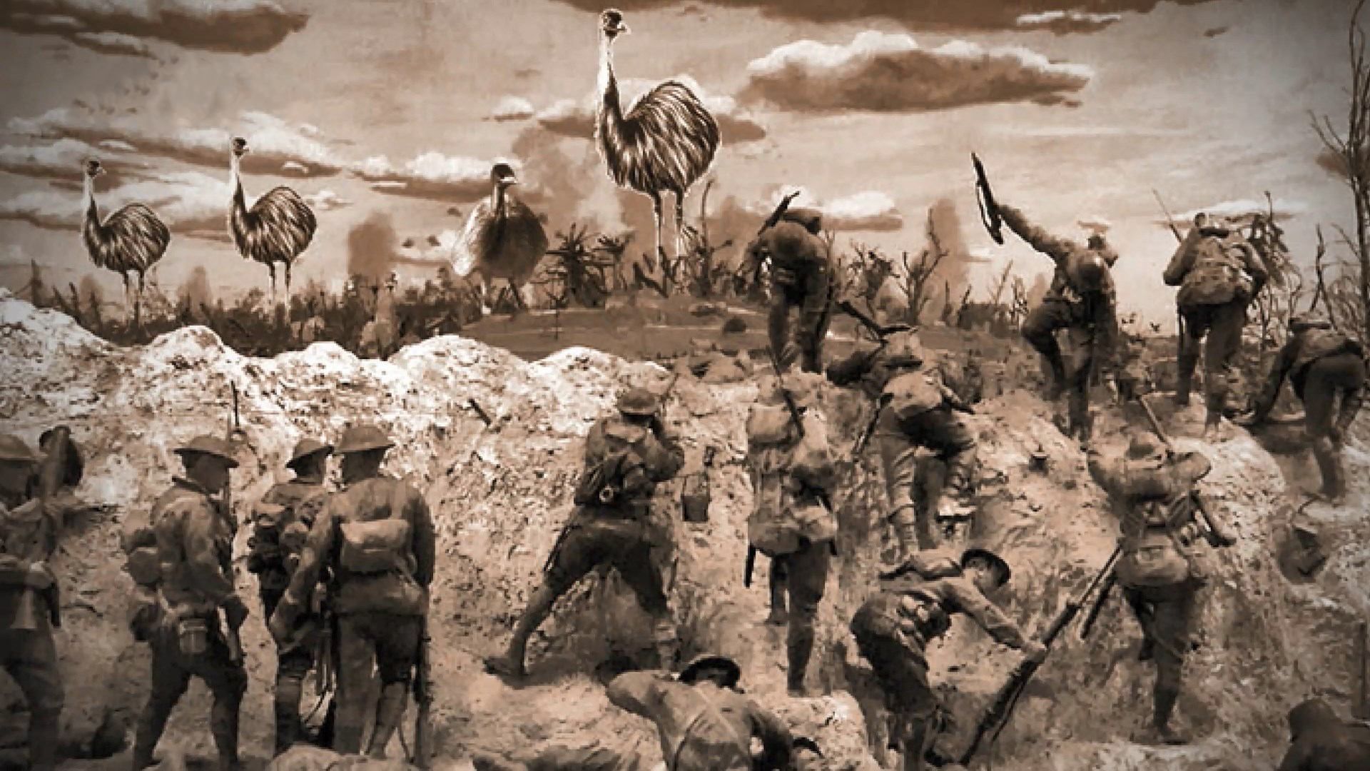 Масштабное нашествие эму в Австралии: как австралийские солдаты боролись против птиц Масштабное нашествие эму в Австралии: как австралийские солдаты боролись против птиц