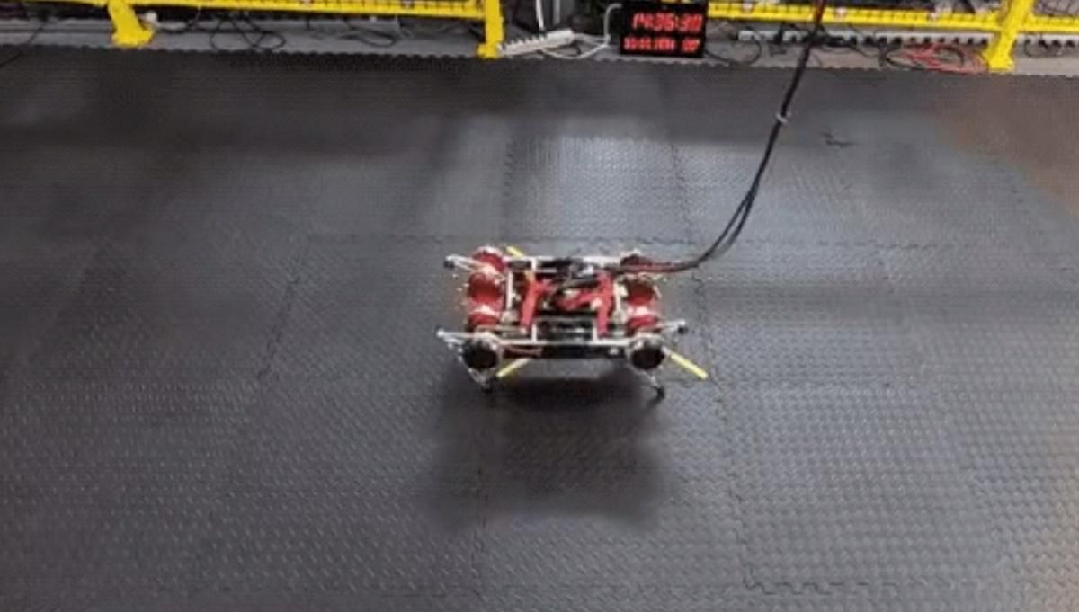 Робот вперше самостійно навчився ходити без допомоги людини: відео