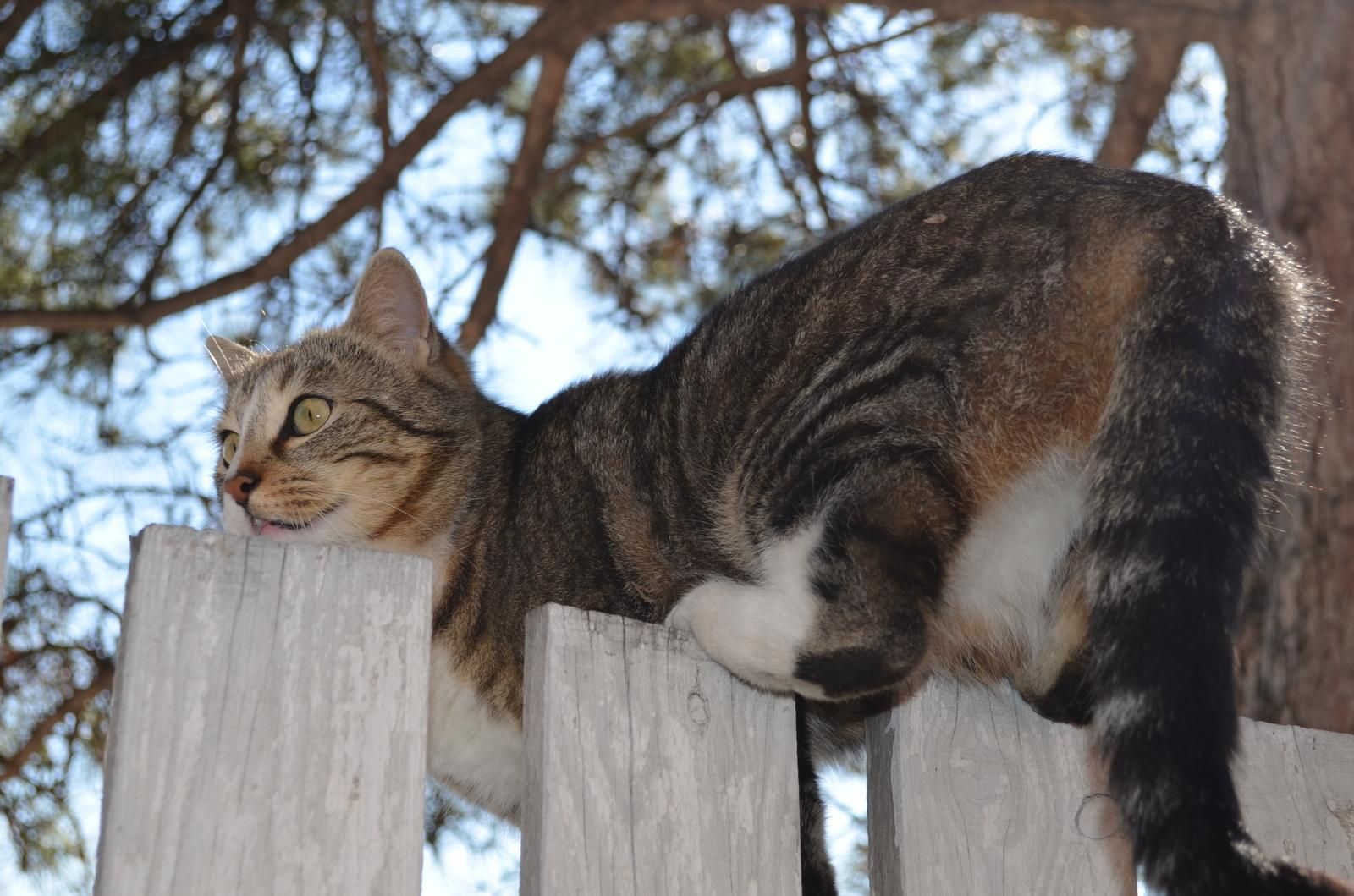 Погода 8 марта 2020 Украина – что обещают синоптики Погода 8 марта 2020 Украина – что обещают синоптики