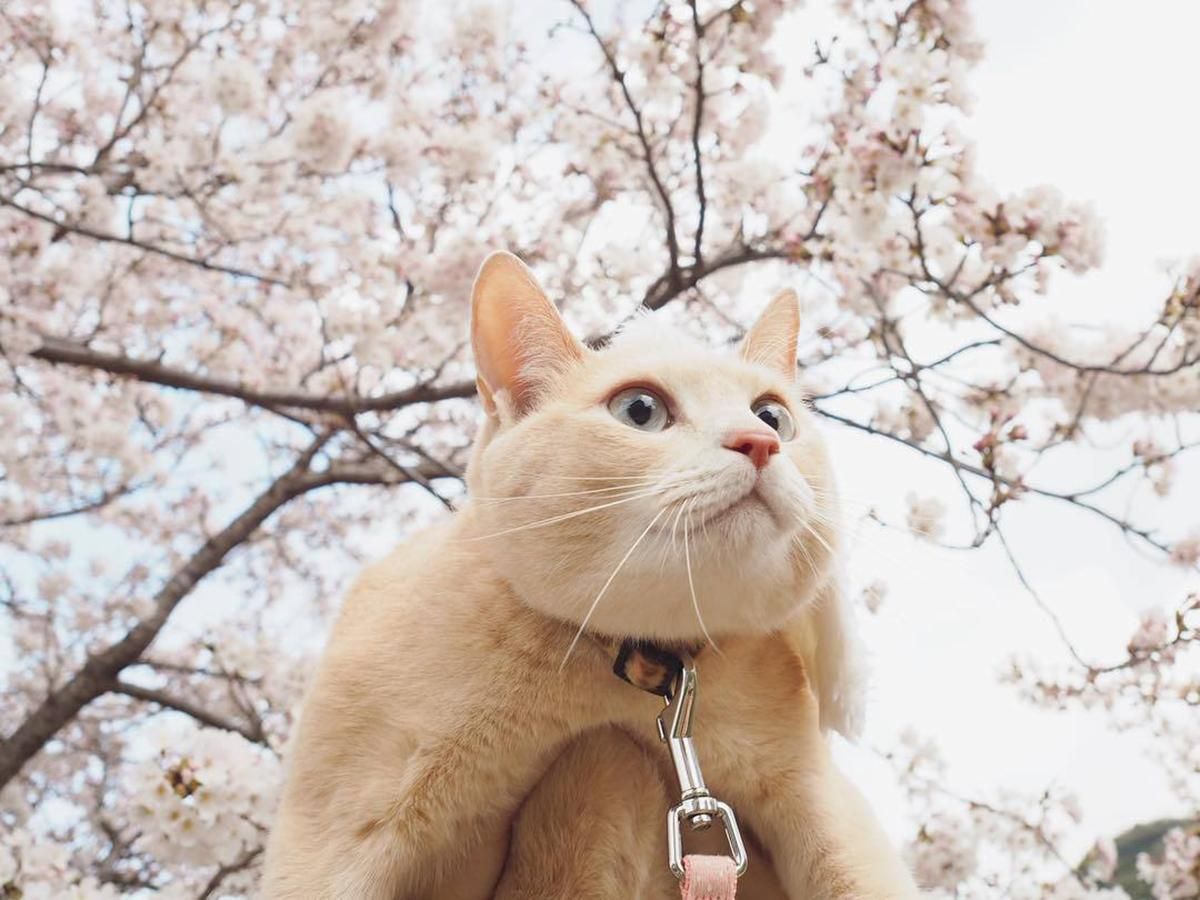 Погода 9 березня 2020 Україна – що обіцяють синоптики Погода 9 березня 2020 Україна – що обіцяють синоптики