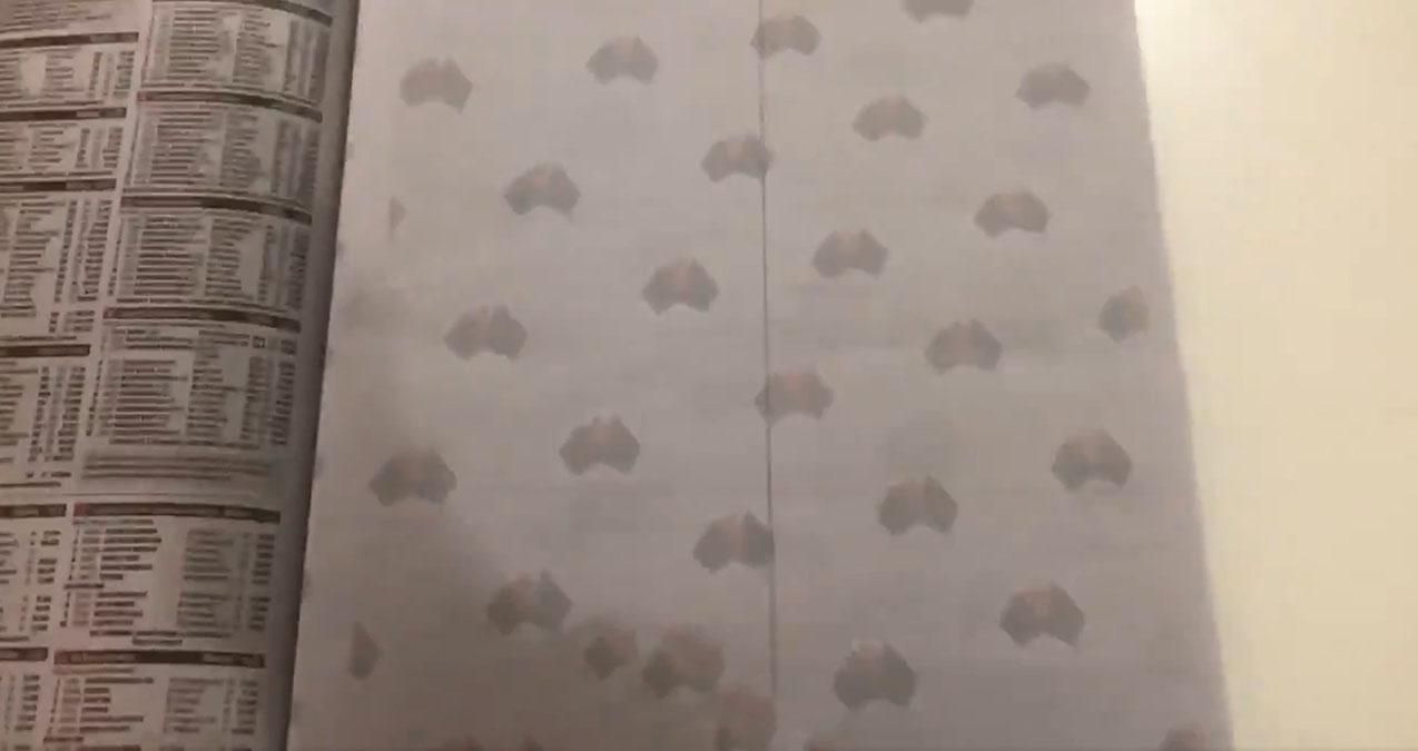 Австралійська газета надрукувала додаткові сторінки через дефіцит туалетного паперу Австралійська газета надрукувала додаткові сторінки через дефіцит туалетного паперу