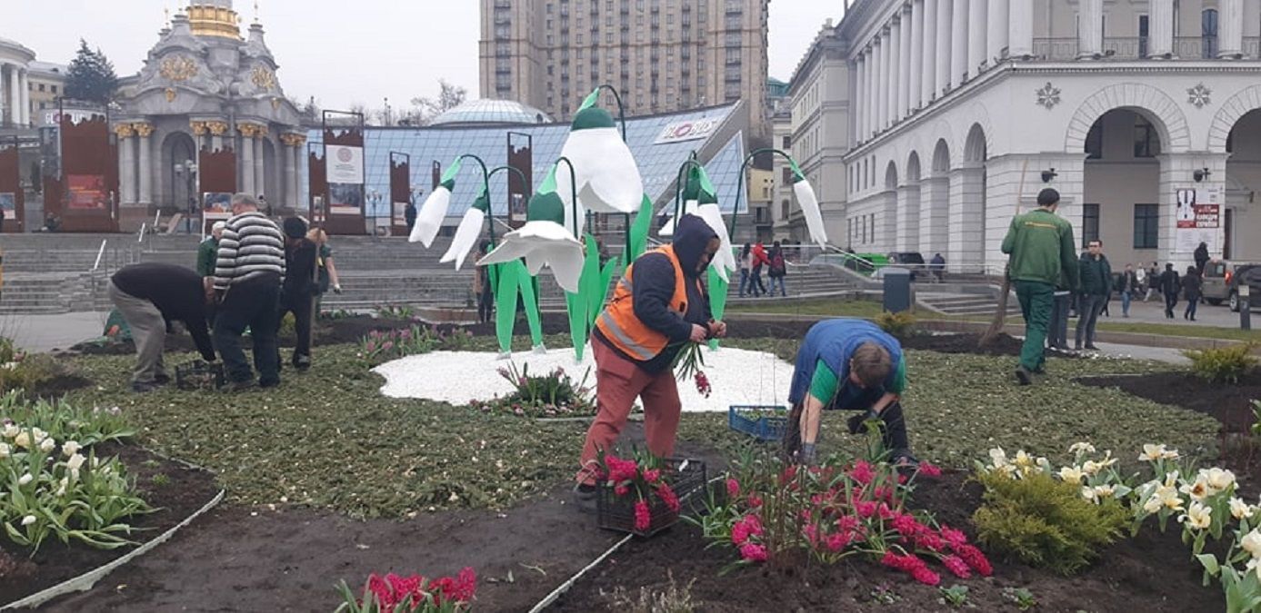 На Майдане Независимости появились гипсовые подснежники: фото На Майдане Независимости появились гипсовые подснежники: фото
