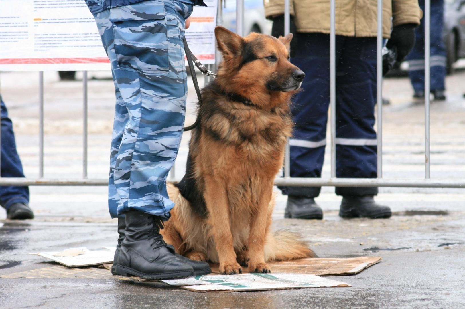 У Києві та Одесі "замінували" одразу декілька громадських місць