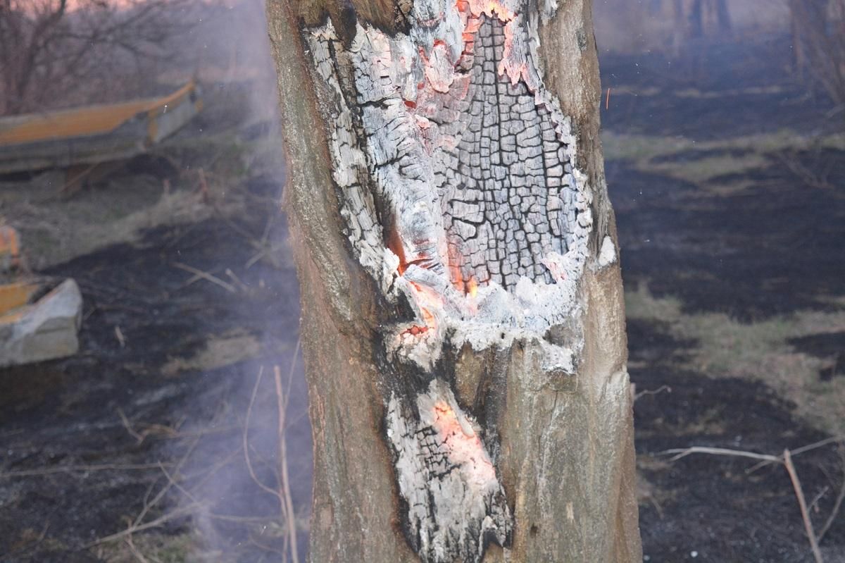В результате обстрела боевиков возле Марьинки вспыхнул крупный пожар: фото В результате обстрела боевиков возле Марьинки вспыхнул крупный пожар: фото