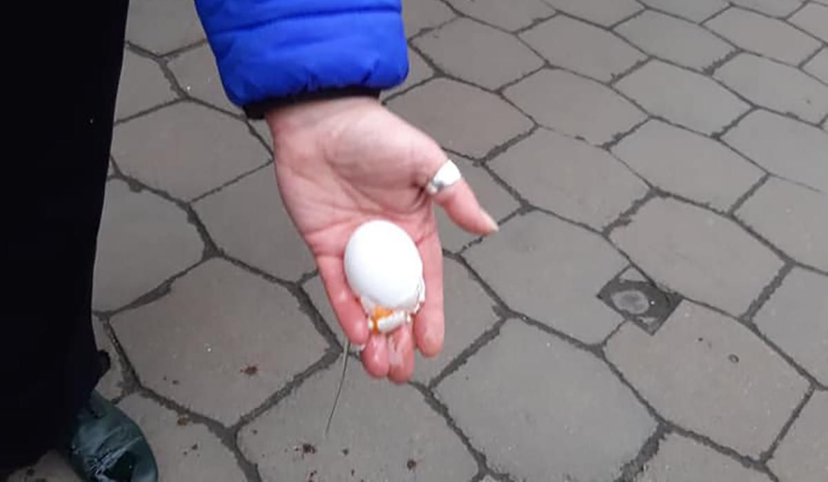 У Львові учасниць маршу за права жінок закидали яйцями: фото