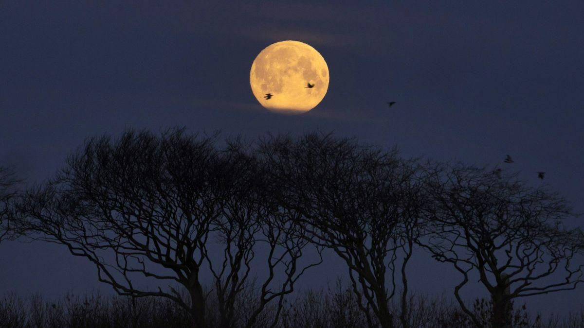 Супермісяць березень 2020, Україна – коли дивитися супермісяць, дата Супермісяць березень 2020, Україна – коли дивитися супермісяць, дата