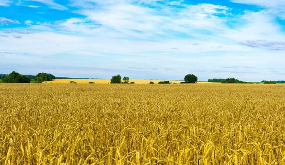 Ще не вмерла і не вмре: 10 березня – 155 річниця першого публічного виконання Гімну України Ще не вмерла і не вмре: 10 березня – 155 річниця першого публічного виконання Гімну України